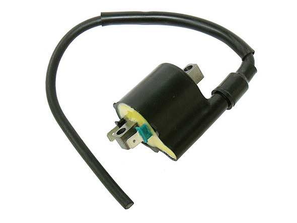 Bronco Ignition Coil At-01337