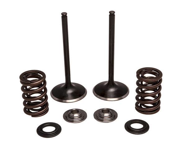 Kpmi Intake Valve/Spring Kit Stainless Steel 30-33200