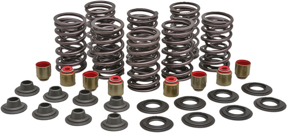 Kpmi Racing Valve Spring Kit 82-82900