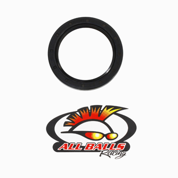 All Balls Racing Inc Double Lipped Seal 30-8001