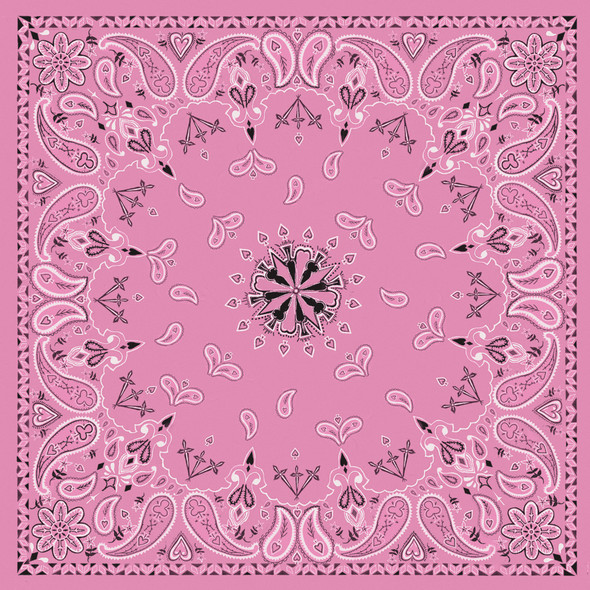 Zan Bandanna Pink Paisley B015