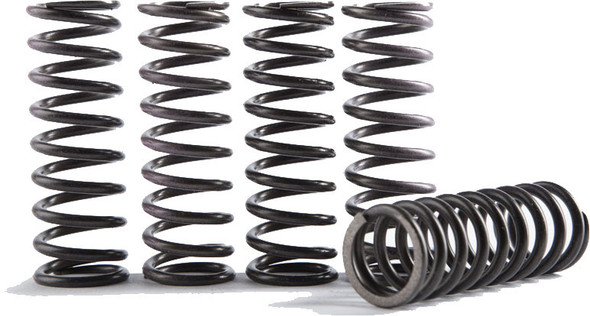 Hinson High Temp Springs 6 Springs Cs095-6-001