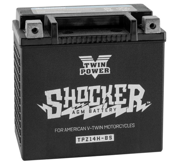 Twin Power Shocker?½ Batteries TPZ14H-BS