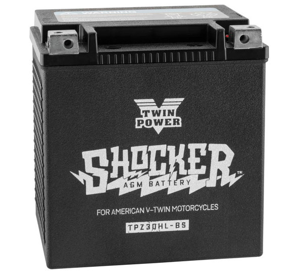 Twin Power Shocker?½ Batteries TPZ30HL-BS