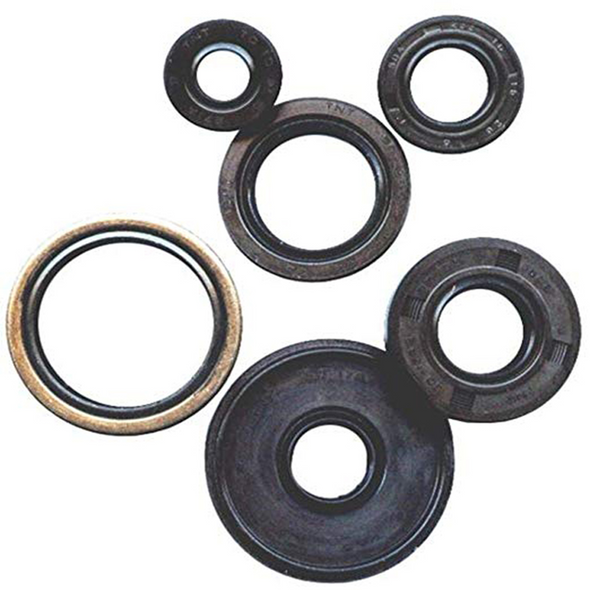 Vertex Oil Seal Set 822355