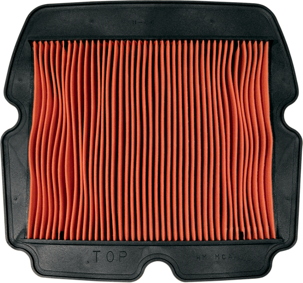 Afx Air Filter 10111118