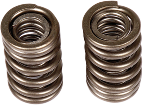 Bbr Motorsports High-Performance Valve Springs 411Hcf1504