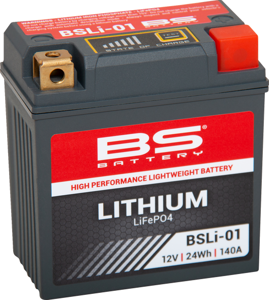 Bs Battery Lithium Lifepo4 Battery 360101