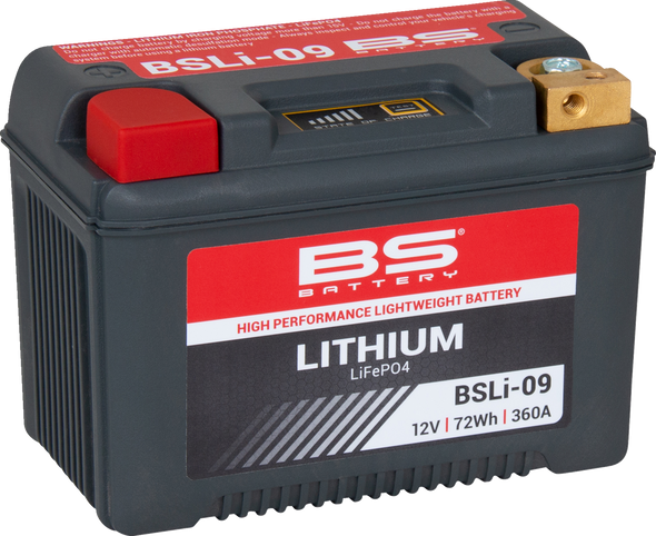 Bs Battery Lithium Lifepo4 Battery 360109