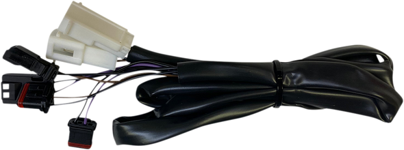 Custom Dynamics Low Rider Integrated Taillight Harness Cdsttlharn