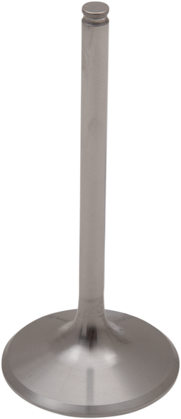 Del West Titanium Engine Valve Dwcrf450R2Iv02