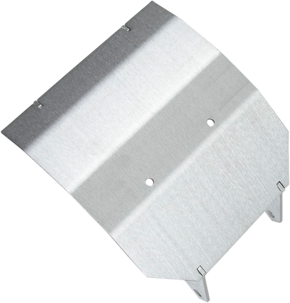 Dg Performance Swingarm Skid Plate 584010