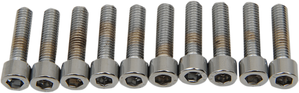 DRAG SPECIALTIES #8 & #10 Fine and Coarse Bolts DS-190595