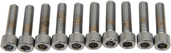 DRAG SPECIALTIES #8 & #10 Fine and Coarse Bolts DS-190597