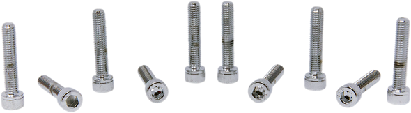 DRAG SPECIALTIES #8 & #10 Fine and Coarse Bolts DS-190599