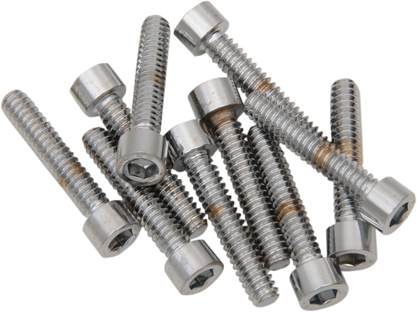DRAG SPECIALTIES #8 & #10 Fine and Coarse Bolts DS-190589S