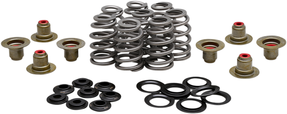 Kibblewhite Beehive Valve Spring Kit 2021850