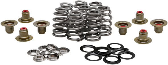 Kibblewhite Beehive Valve Spring Kit 2021800