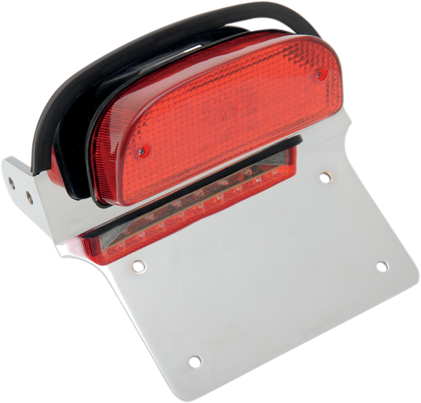 Rick Doss Taillight And License Plate Mount Assembly L240430K