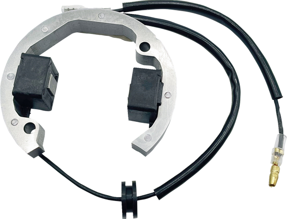 Rick'S Motorsport Electric Stator 210093