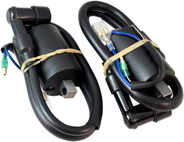 Rick'S Motorsport Electric Ignition Coil 23103
