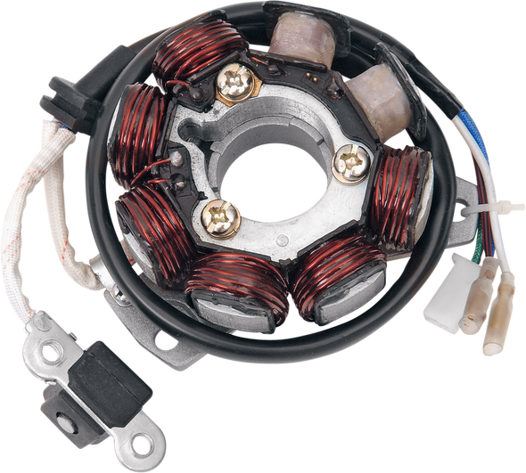 Rick'S Motorsport Electric Stator 21602H