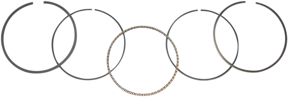 Wsm Replacement Piston Ring Set 5125204