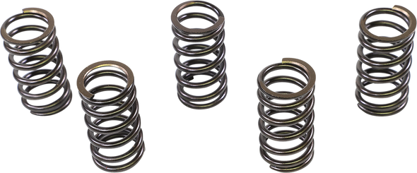 Xceldyne Valve Springs Psimx2004