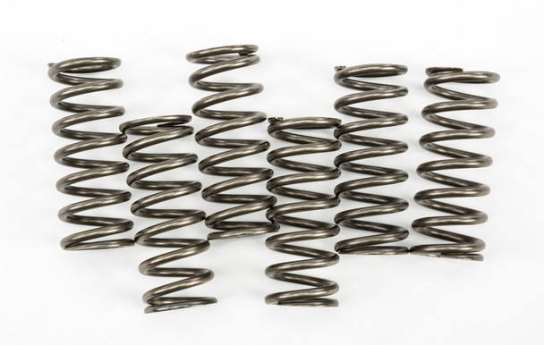 EBC Clutch Springs Csk221 Csk221