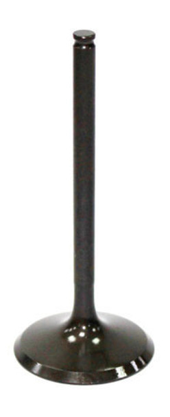 Bronco Exhaust Valve Xu-09500E