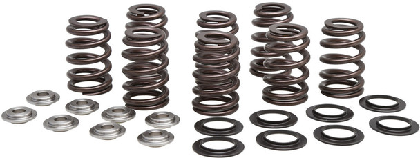 Kpmi Valve Spring Kit Beehive M8 Titanium 20-21000