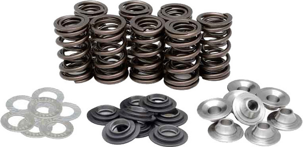 Kpmi Racing Valve Spring Kit 91-91200