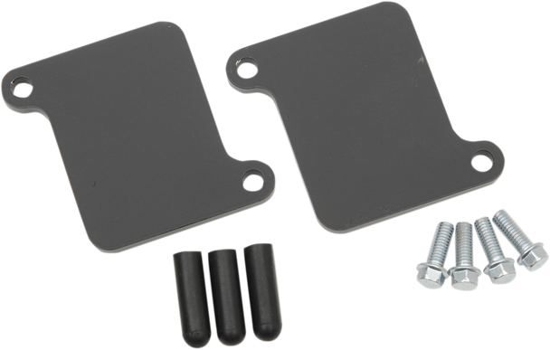 Baron Air Injection System Removal Kit Ba257100