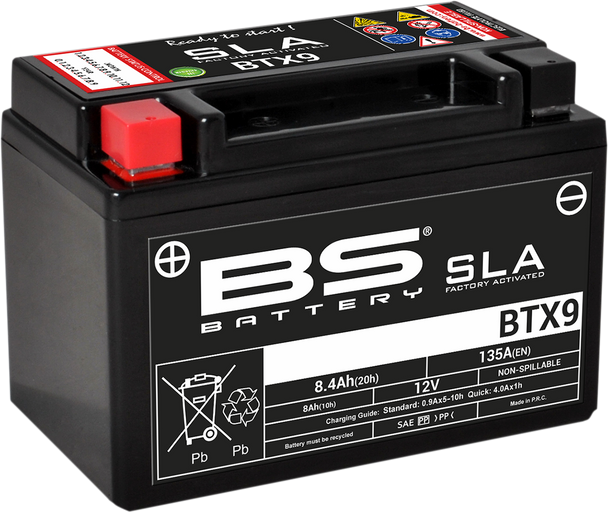 Bs Battery Sla Factory- Activated Agm Maintenance-Free Battery 300674
