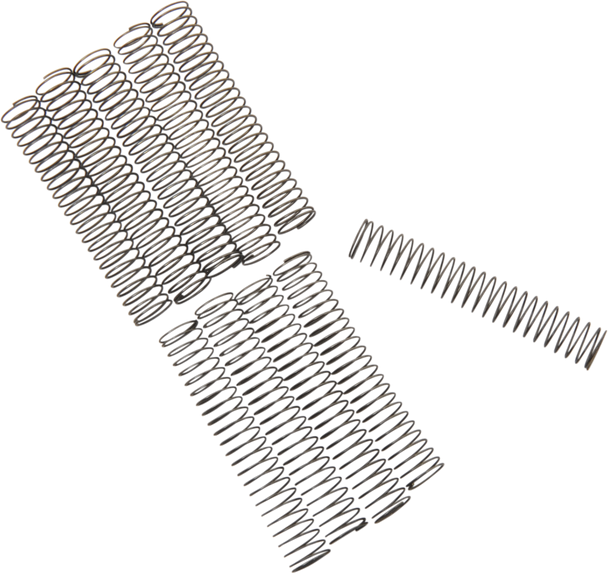 Eastern Motorcycle Parts Oil Pump Relief Valve Springs A2626280