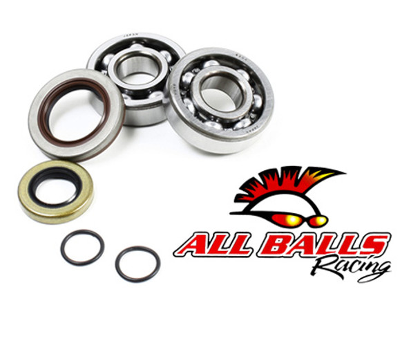 All Balls Racing Inc Crank Bearing & Seal Kit 24-1103