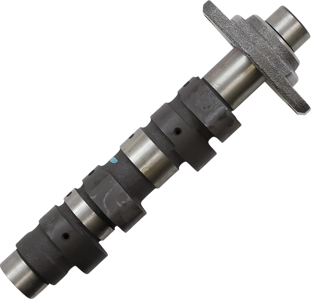 Hot Cams Intake Exhaust Camshaft 10071