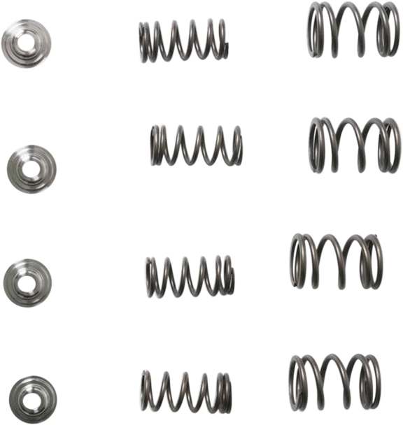 Kibblewhite Valve Spring Kit 303111