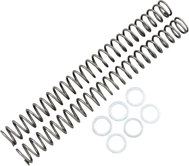 Race Tech Fork Springs 29.10 Lb In Frsp 444552