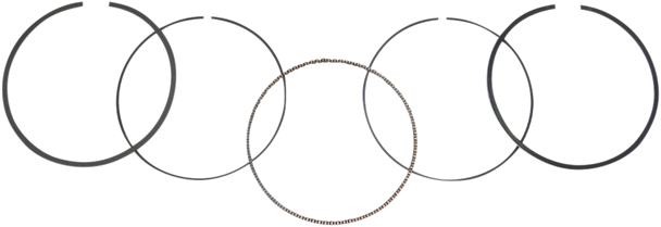 Wsm Replacement Piston Ring Set 5123104