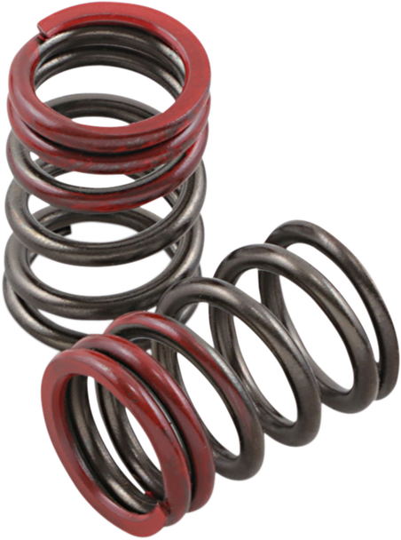 Xceldyne Valve Springs Psimx2404