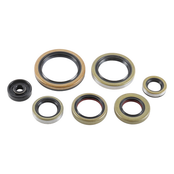 Vertex Engine Oil Seal Set 822976