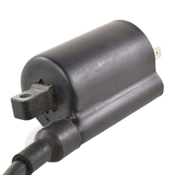 External Ignition Coil RM06163