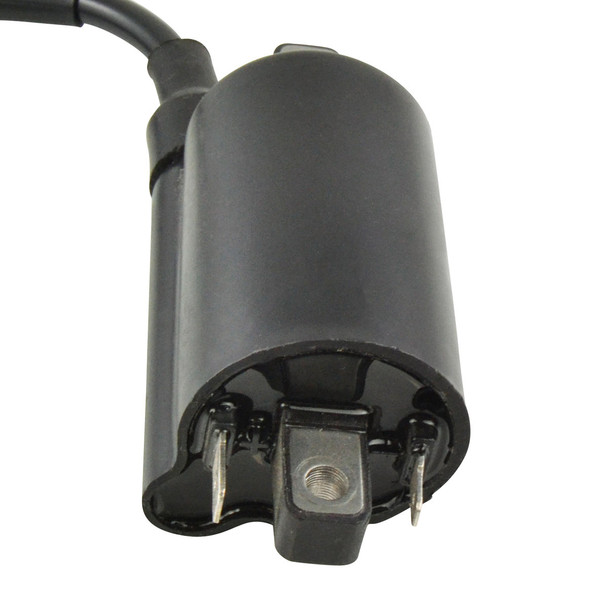External Ignition Coil RM06163