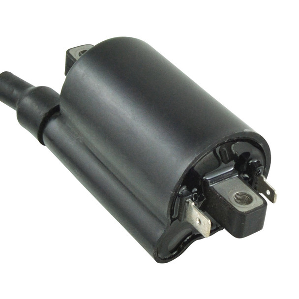External Ignition Coil RM06163