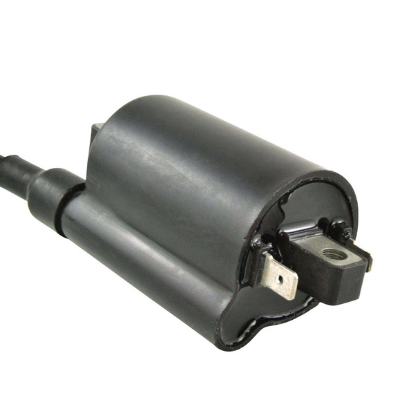 External Ignition Coil RM06163