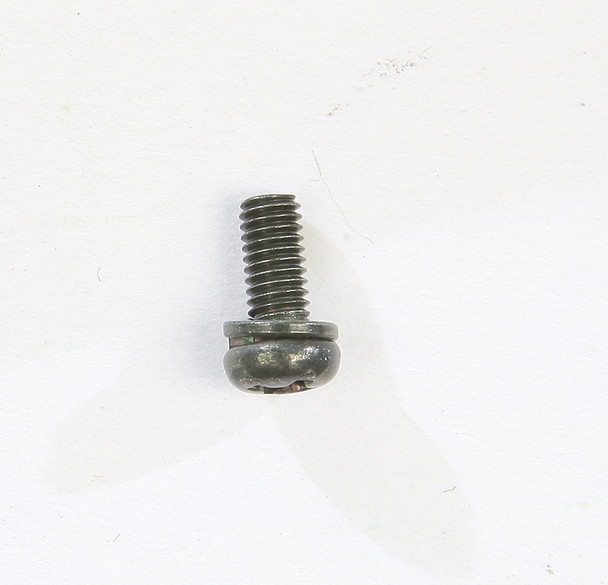 Mikuni Screw W/Washer Cw2=0307-G