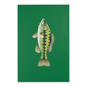 Bass Fish Area Rug