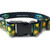 Fishy Dog Collar - DeYoung Freshwater Fish Pattern 