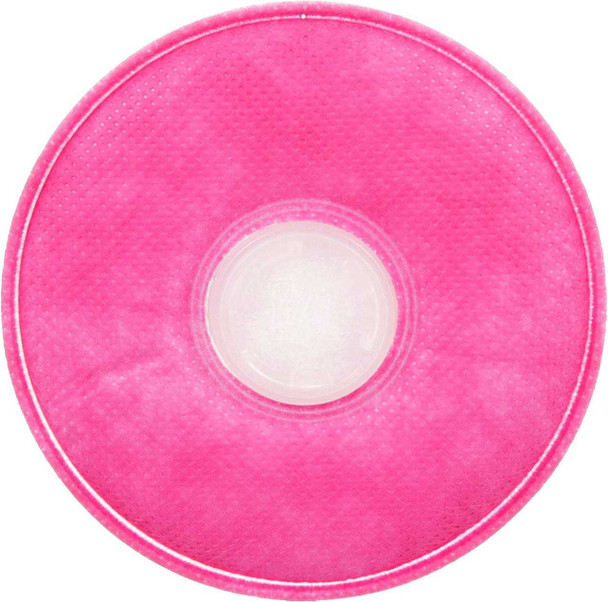 3M 2091 P100 Particulate Filter (2 Pair )